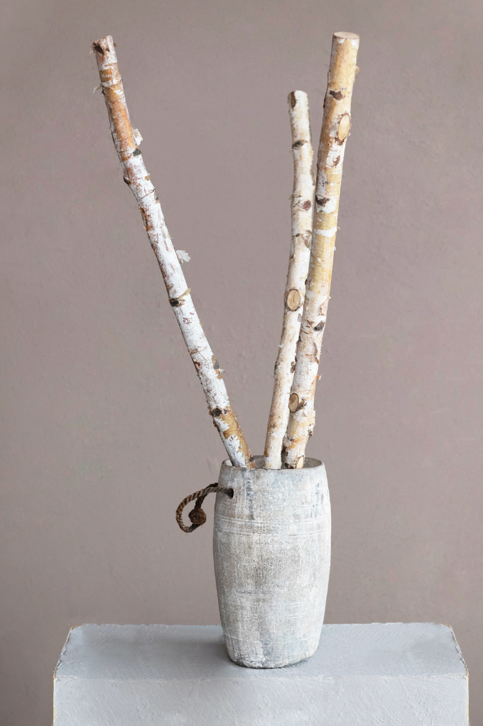 Birch Branch Bundle – Edencoshop