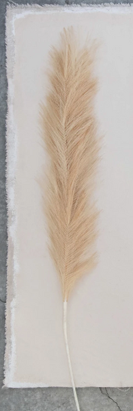 Faux Pampas Grass Plume, Wheat Color