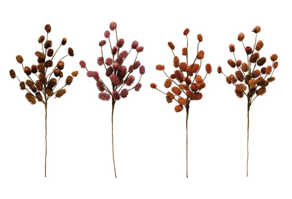 Dried Natural Thistle Pick