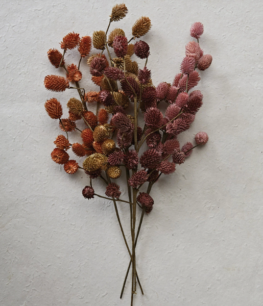Dried Natural Thistle Pick