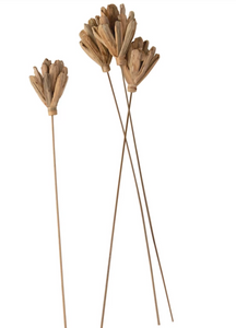 Dried Lily Lotus Flower Pick