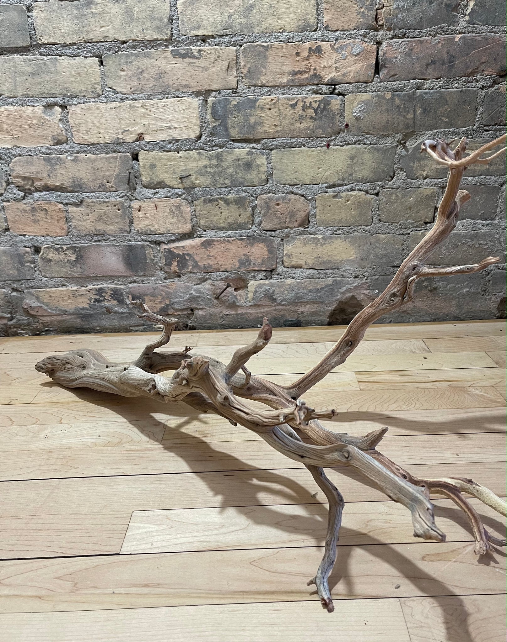 West Coast DriftWood