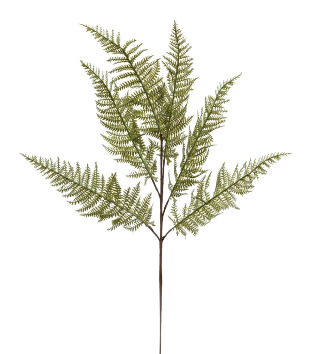 Faux Winter Fern