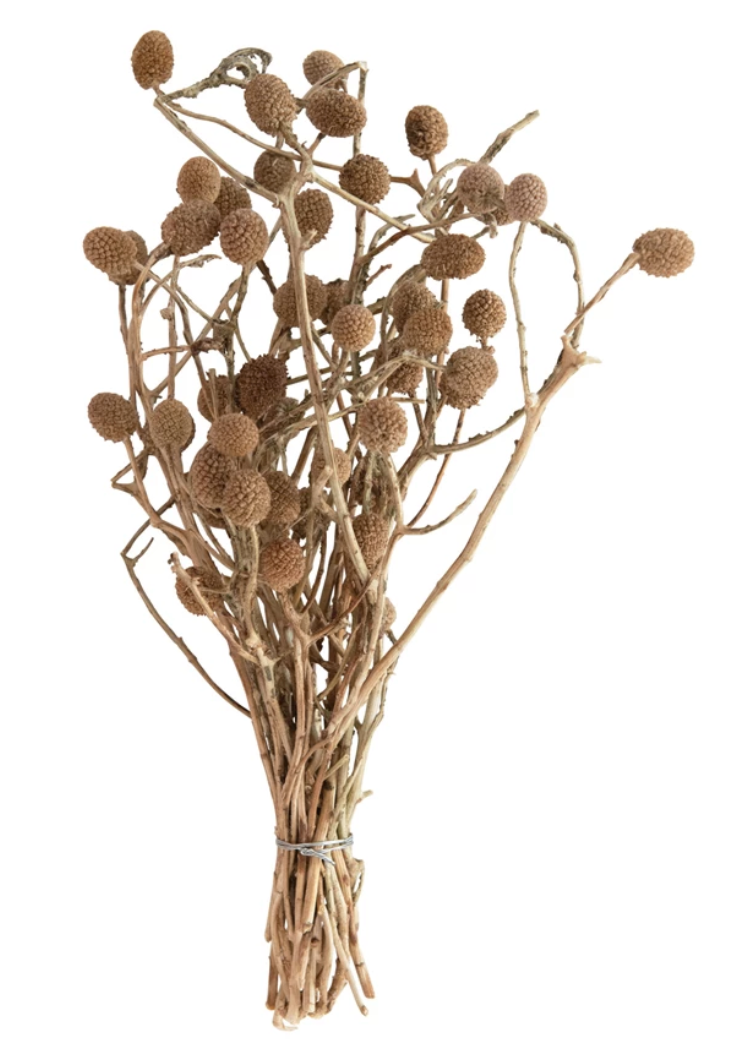 Dried Berry Bouquet