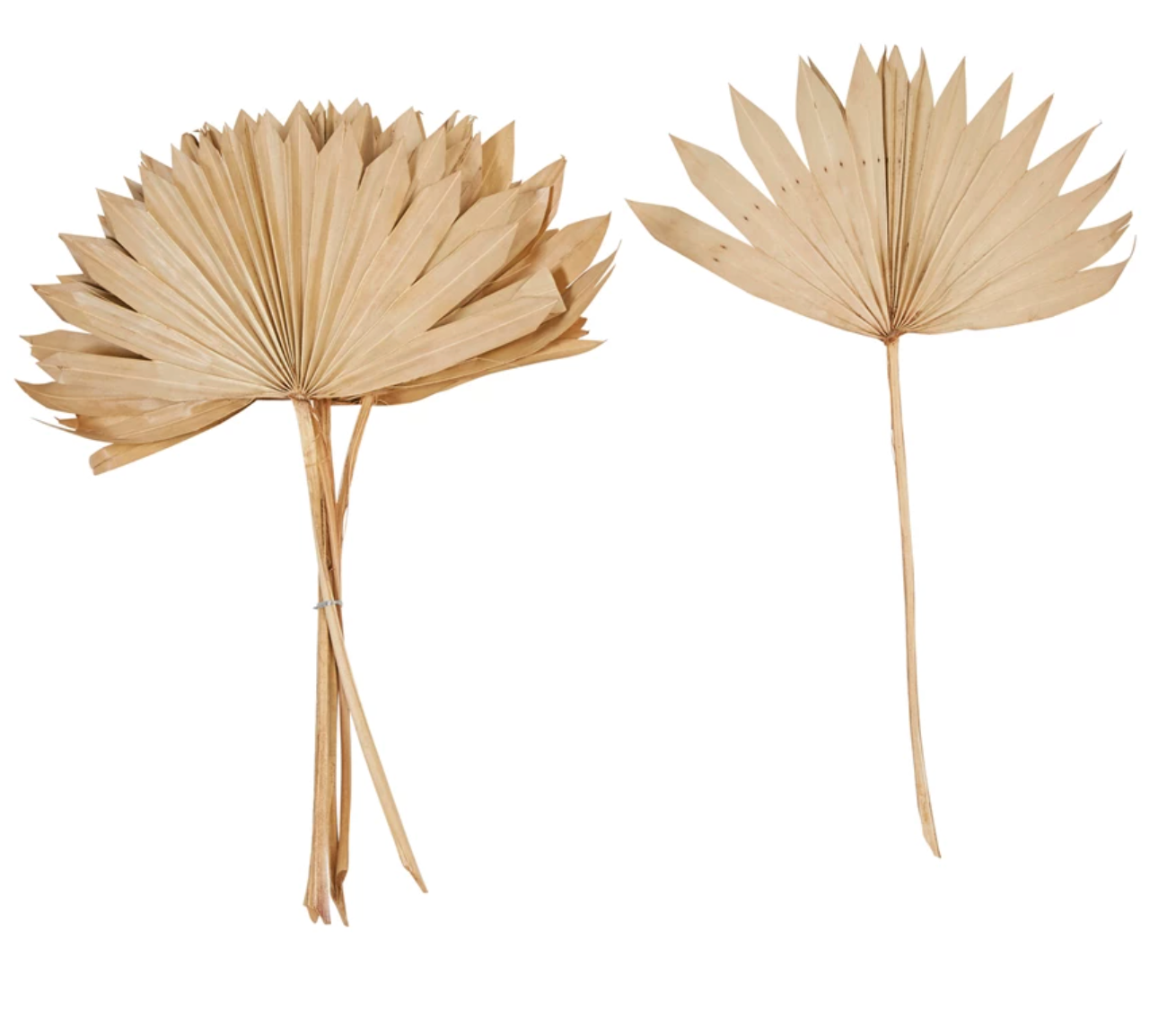 Dried Natural Palm Bunch