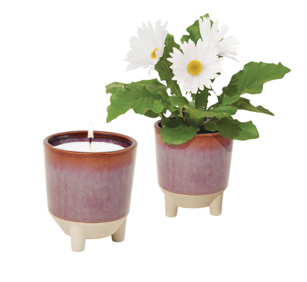 Glow & Grow - Wildflower Candle + Daisy Grow Kit
