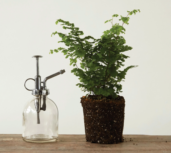 Plant Mister