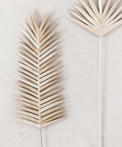 Natural Dried Palm Pick