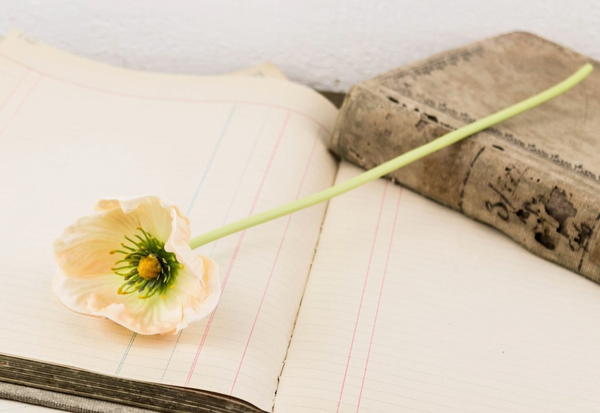 Poppy Stem