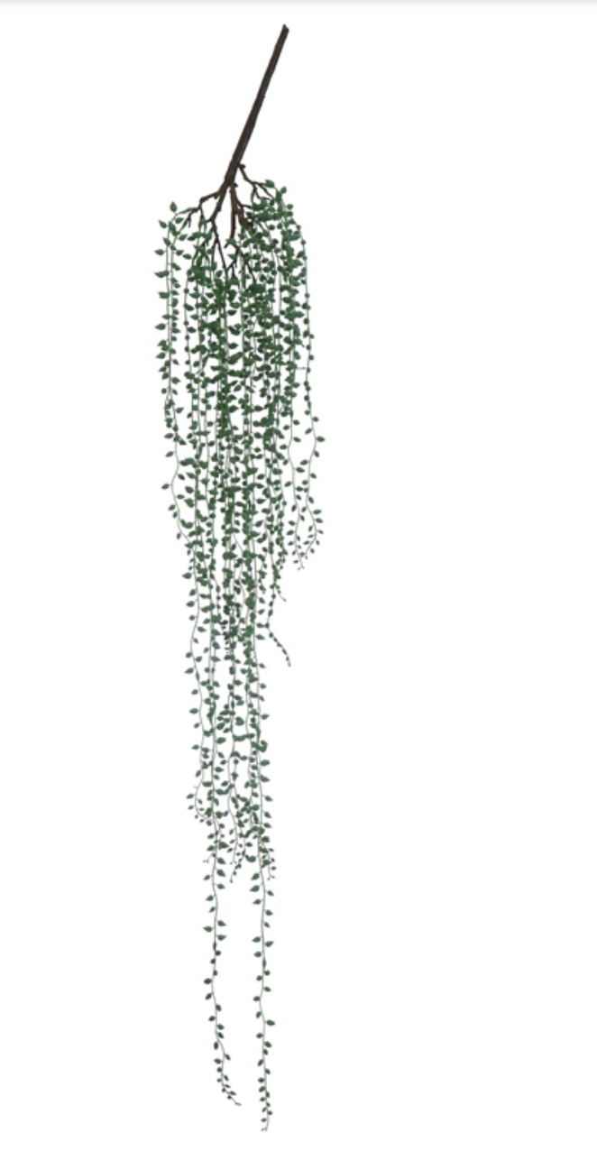 Pearl Vine Pick