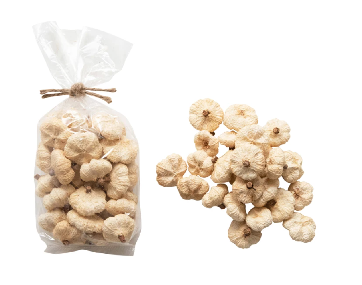 Dried Natural Pumpkin Pods