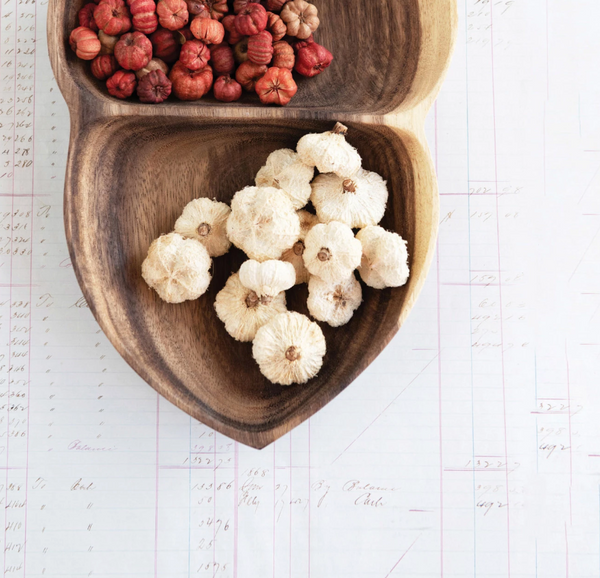 Dried Natural Pumpkin Pods