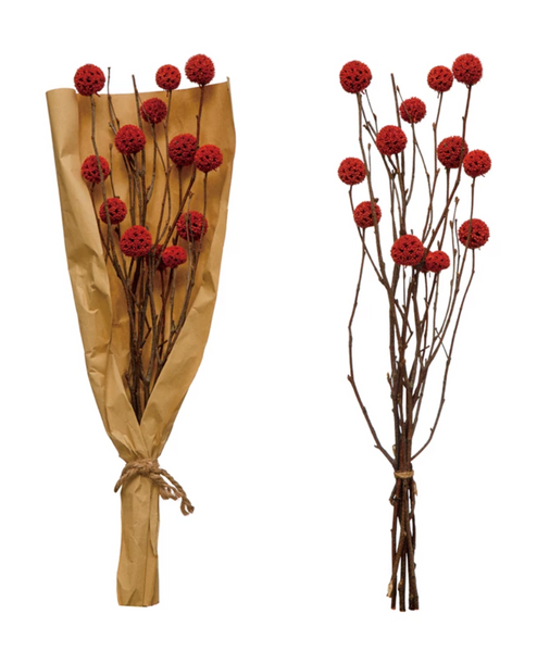 Red Dried Natural Globe Thistle Bunch