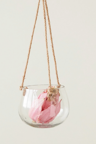 Hanging Vase/Planter w/ Jute Rope