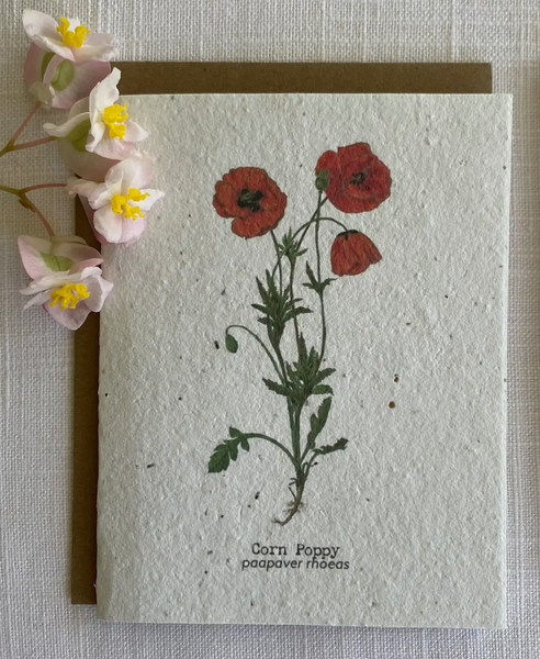 Wildflower Seed Cards