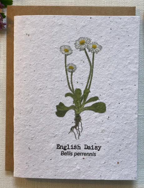 Wildflower Seed Cards