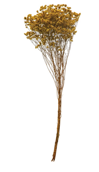 Chartreuse Dried Natural Pearl Grass Bunch