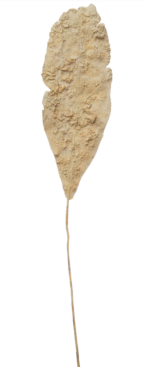 Faux Leaf, Plaster Finish