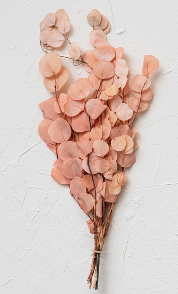 Salmon Dried Natural Eucalyptus Bunch