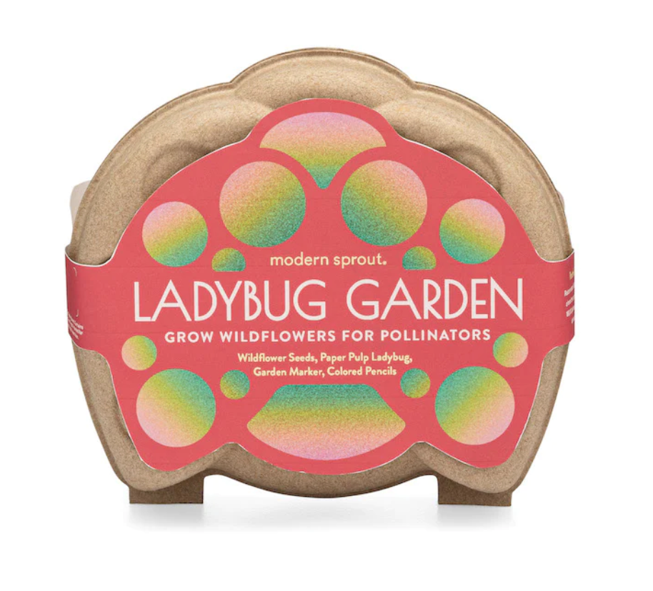 Curious Critters Ladybug Garden