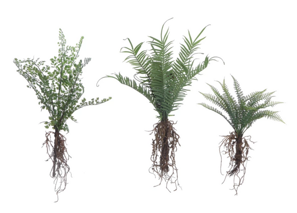 Faux Fern w/ Exposed Roots