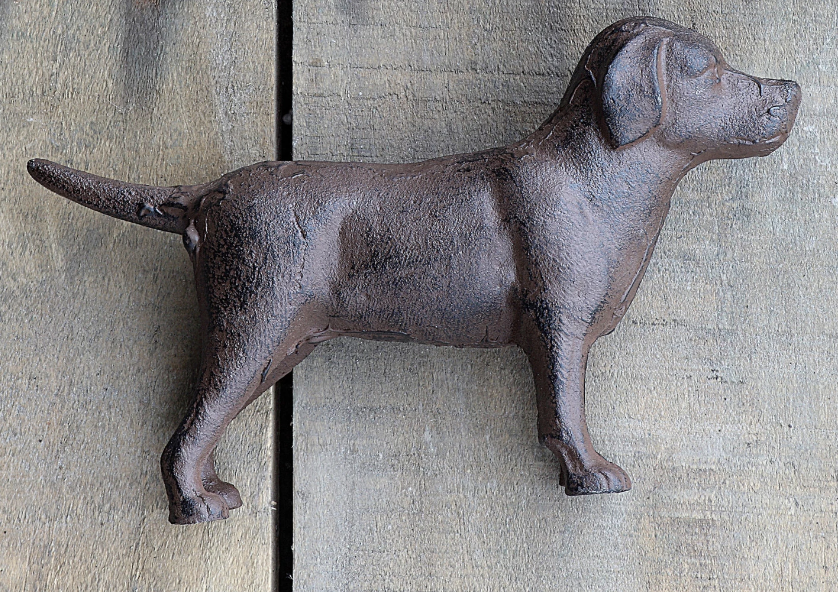 Cast Iron Lab