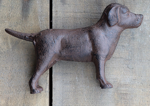 Cast Iron Lab